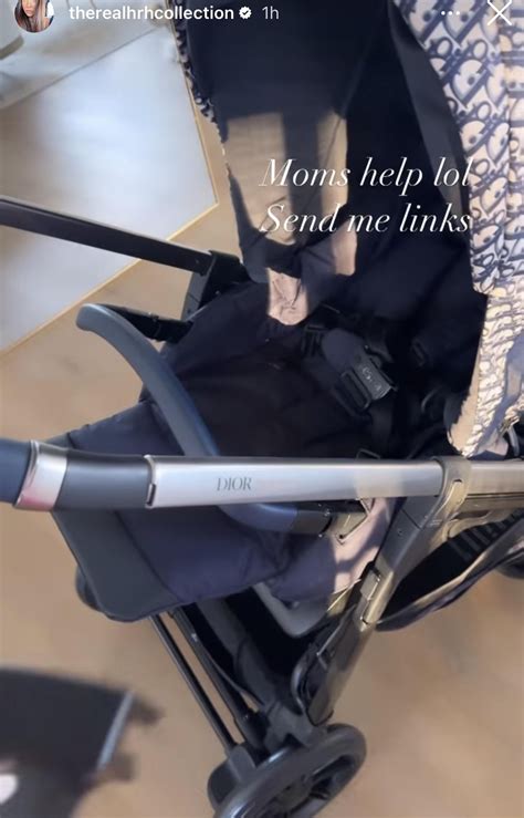 fake dior stroller